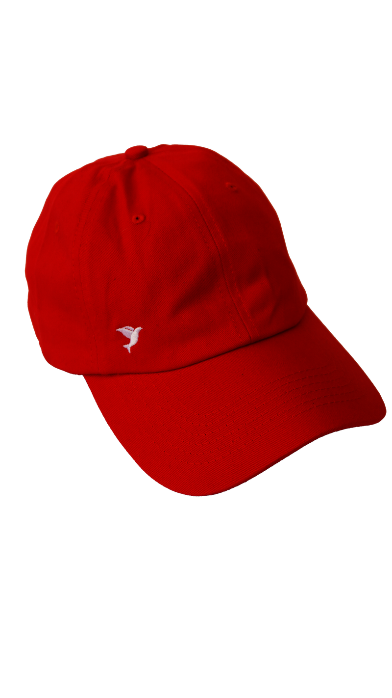 Gorras Espíritu Santo