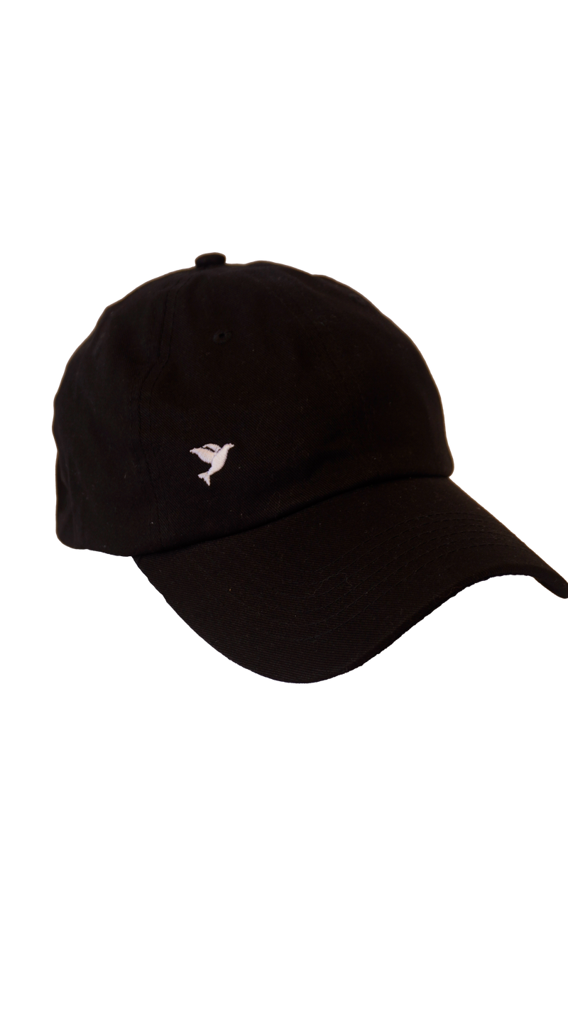 Gorras Espíritu Santo