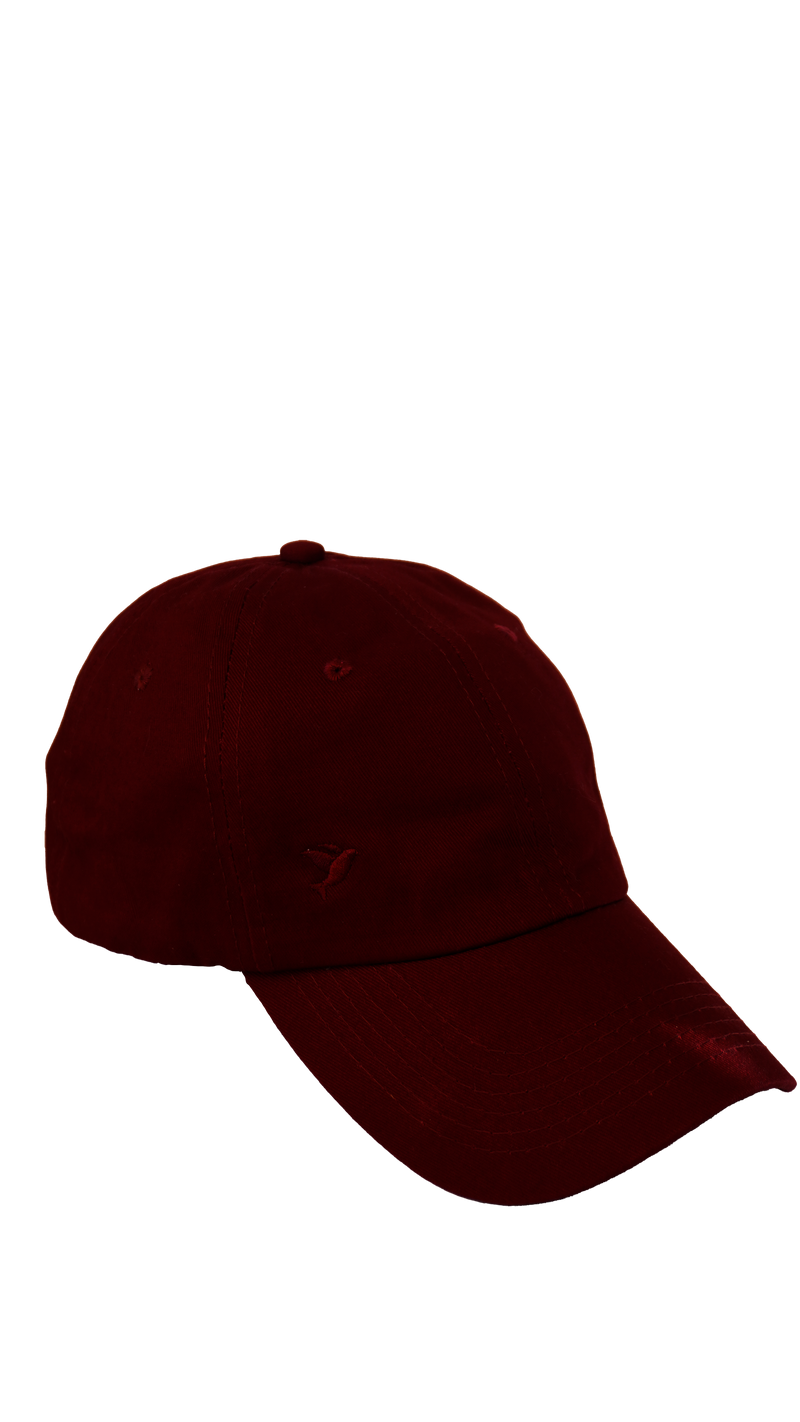 Gorras Espíritu Santo