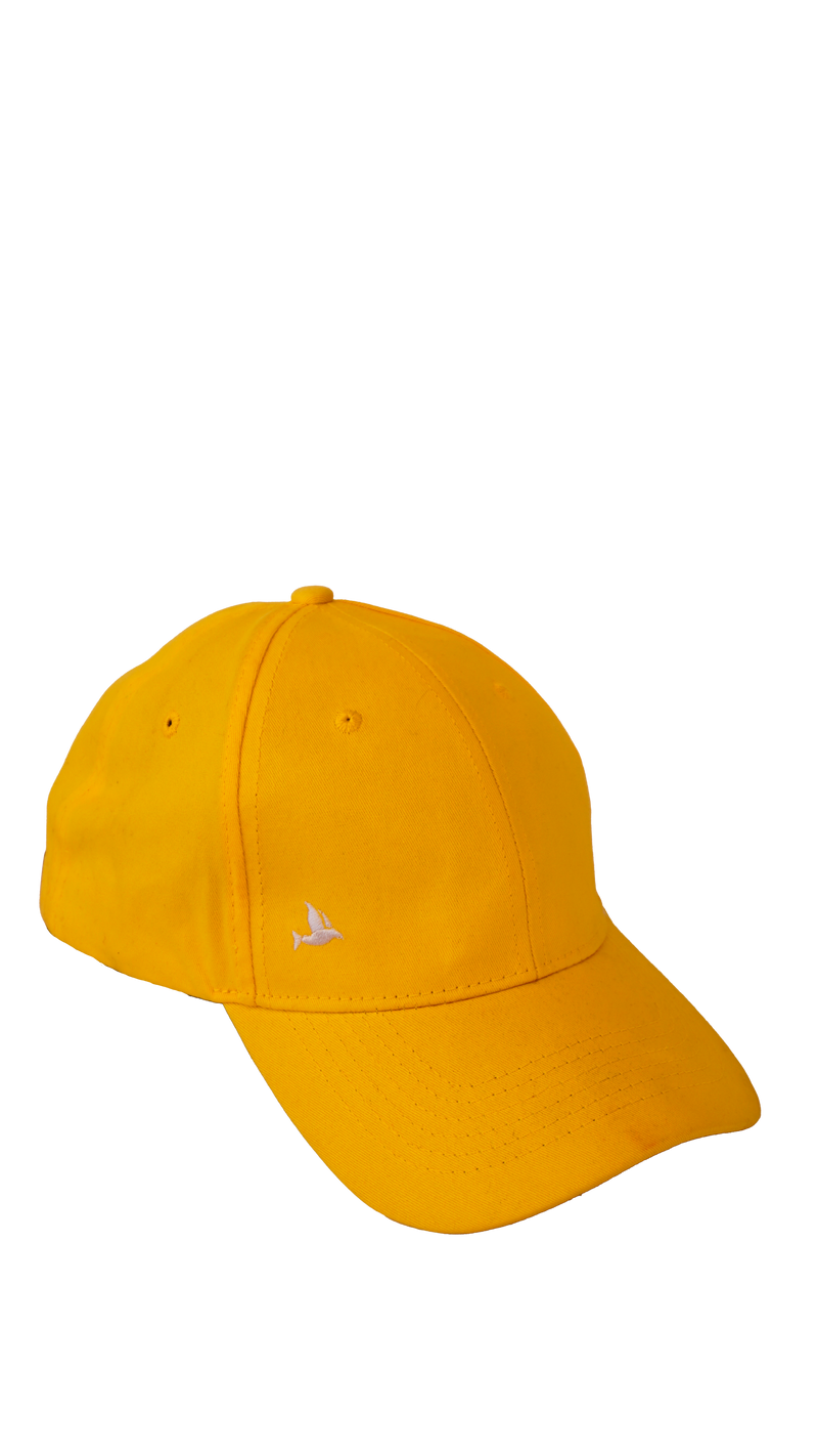 Gorras Espíritu Santo